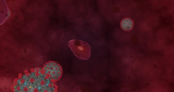 Concentration Élevée Coronavirus Covid Groupe Animation Virus Globules Rouges Microscope — Photo