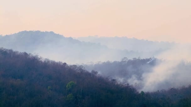 Большие лесные пожары и дым в горных лесах во время засухи. Вырубка лесов и климатический кризис. Ядовитый туман от пожаров в тропических лесах. — стоковое видео