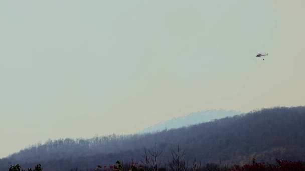 Bomberos aéreos con incendios forestales durante la sequía en la montaña. El helicóptero apagó los incendios forestales. Deforestación y crisis climática. — Vídeo de stock