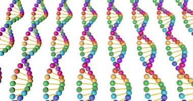 Montaj ve tıbbi eğitim için beyaz arka planda izole edilmiş DNA analizinin renk görselleştirmesi 3d döndürme animasyonu