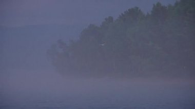 Nehrin üzerinde güneşli ve sisli bir sabah, güneşin altında sis. Yalnız bir martı uçar.