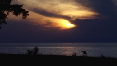 Otlar ve çalılar rüzgarda sallanıyor mor günbatımı ve gölün arka planına karşı