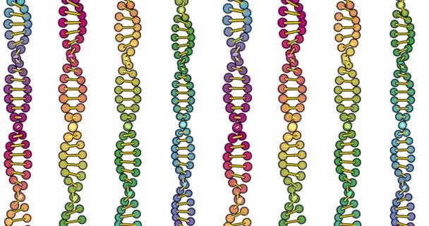 Visualizzazione a colori dell'analisi del DNA isolata su sfondo bianco animazione 3d rotazione, per montaggio e formazione medica — Video Stock