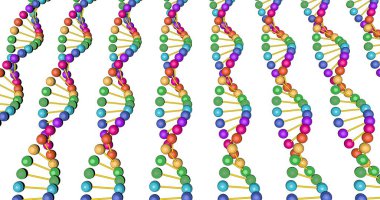 Montaj ve tıbbi eğitim için beyaz arkaplandaki üç boyutlu döndürme animasyonunda DNA analizinin renkli görselleştirilmesi. Yüksek kaliteli resim.