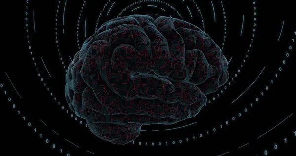 Cyfrowy Mózg Pokryty Płytkami Drukowanymi Procesorem Cyfrowym Cyfrowa Sieć Neuronowa — Zdjęcie stockowe