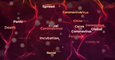 Covid-19 hakkında metin ve anahtar sözcüklerin animasyonu, tıbbi eğitim materyalleri ve haberler için Coronavirus, kırmızı arkaplan, döngü, 4k