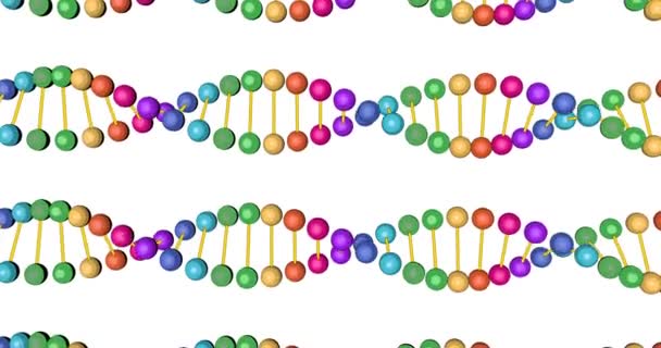 3d 색 DNA 검사 비디오 편집 과 의학 훈련을 위해 흰색 배경에 분리 된 렌더링 — 비디오
