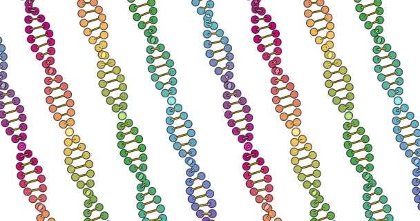 Montaj ve tıbbi eğitim için beyaz arka planda izole edilmiş DNA analizinin renk görselleştirmesi 3d döndürme animasyonu — Stok video