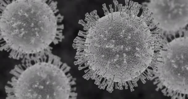 Simulação 3d preto e branco do vírus corona. Renderização artística da visualização do microscópio eletrônico. — Vídeo de Stock