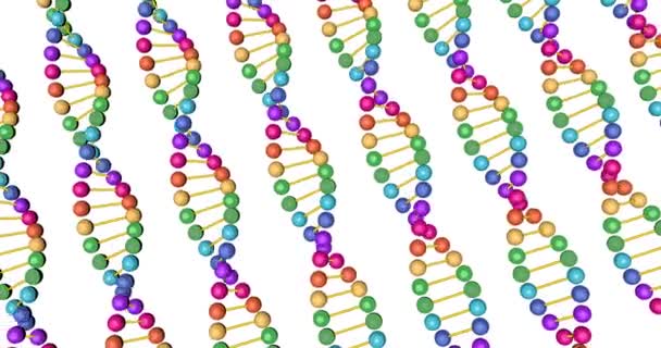 Farbvisualisierung der DNA-Analyse isoliert auf weißem Hintergrund 3D-Rotationsanimation, für Montage und medizinisches Training — Stockvideo