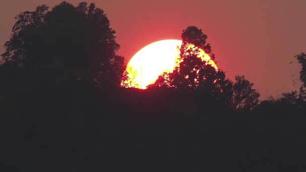 Matahari besar terbenam di belakang bukit dengan pohon-pohon di langit merah muda — Stok Video