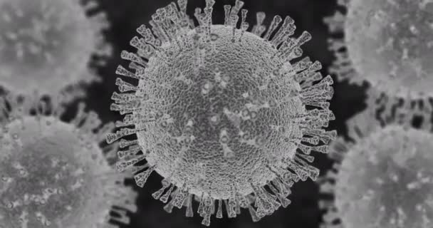 Corona virüsünün siyah ve beyaz üç boyutlu simülasyonu. Elektron mikroskobu görselleştirmesinin sanatsal canlandırması. — Stok video