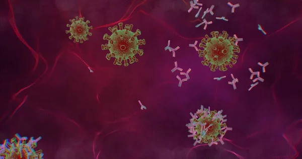 Anticorpos Atacam Destroem Coronavírus Close Microscópio Conceito Tratamento Vacinação Contra — Fotografia de Stock