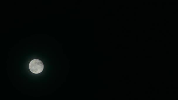 Dünya gezegeninin uydusu, dolunay, ayın doğuşu, ay ışığı gecesi. Karanlık gökyüzünde dolunay yükseliyor., — Stok video