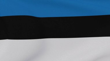 Bayrak Estonya Vatanseverliği Ulusal Özgürlük, Yüksek kalite 3D görüntü, 3D görüntüleme