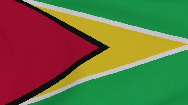 Bandeira Guiana Patriotismo Liberdade Nacional Imagem Alta Qualidade Renderização — Fotografia de Stock