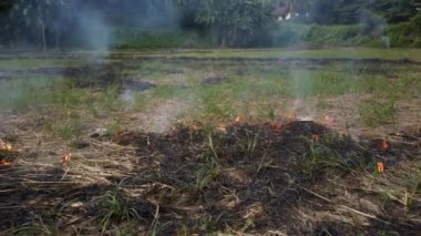 Dumanlı alanlara yakın çekim. Küresel Isınma Krizi. Tarımı kes ve yak. İklim değişikliği, ormansızlaşma.