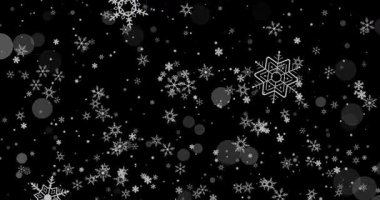 Zarif Animasyon Kar Taneleri Karanlık Arkaplanda Dans Ediyor Zarif Düşen Kar Örnekleri ile Büyüleyici Mevsimsel Güzellik Döngüsü. Yüksek kalite 4k görüntü