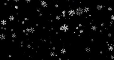Güzelce Hassas Kar Taneleri Karanlık Bir Arkaplana Karşı Bir Döngü Animasyonunda Nazikçe Düşüyor, Serene Kış Atmosferi Oluşturuyor ve Büyüleyici Görsel Efekt. Yüksek kalite 4k görüntü