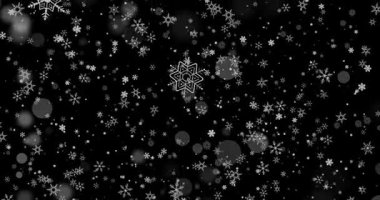 Güzel bir döngü animasyonu serin bir kış sahnesini sergiliyor narin kar taneleri zarif bir şekilde siyah bir zemine doğru sürükleniyor serin mevsimin özünü yakalıyor. Yüksek kalite 4k