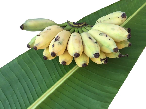 Ekili muz, Tay Banana ve yeşil muz yaprağı üzerinde izole