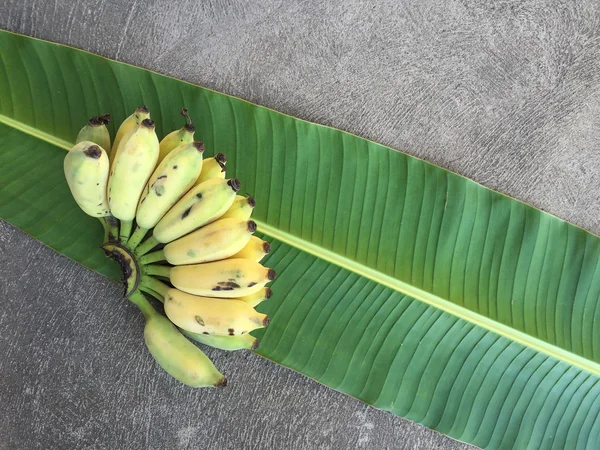 Ekili muz, Tay Banana ve yeşil muz yaprağı 