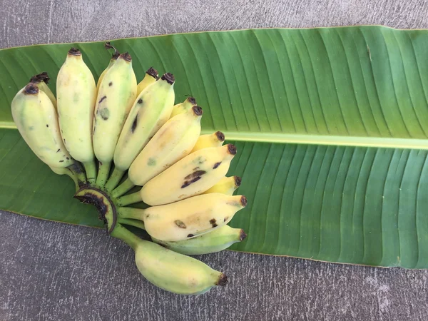 Cultivated Banana, Thai Banana and green banana leaf