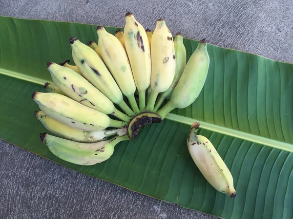 Ekili muz, Tay Banana ve yeşil muz yaprağı 