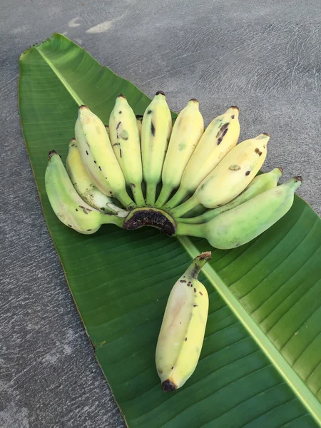 Ekili muz, Tay Banana ve yeşil muz yaprağı 