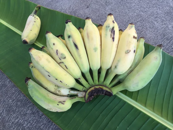 Ekili muz, Tay Banana ve yeşil muz yaprağı 
