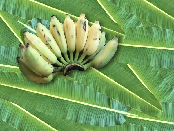 Ekili muz, Tay Banana ve yeşil muz yaprağı 