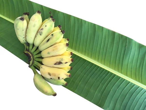 Ekili muz, Tay Banana ve yeşil muz yaprağı 