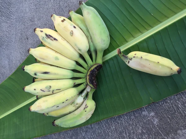 Ekili muz, Tay Banana ve yeşil muz yaprağı 
