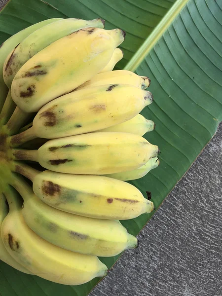 Ekili muz, Tay Banana ve yeşil muz yaprağı 