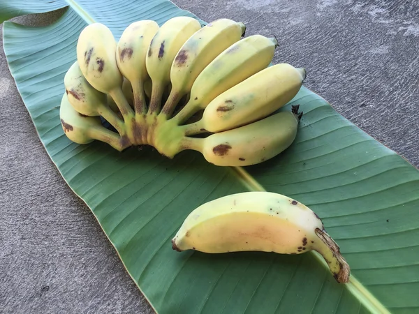 Ekili muz, Tay Banana ve yeşil muz yaprağı 