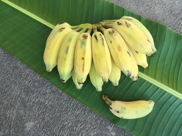 Cultivated Banana, Thai Banana and green banana leaf