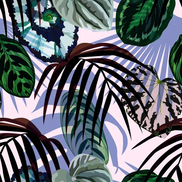 Hojas patrón de palma monstera — Archivo Imágenes Vectoriales