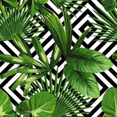 exotic jungle plant tropical palm leaves clipart