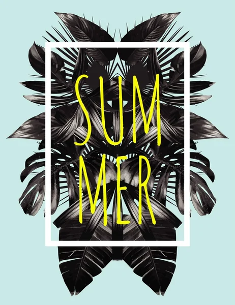 Sommer schwarz Blätter Spiegel Illustration — Stockvektor