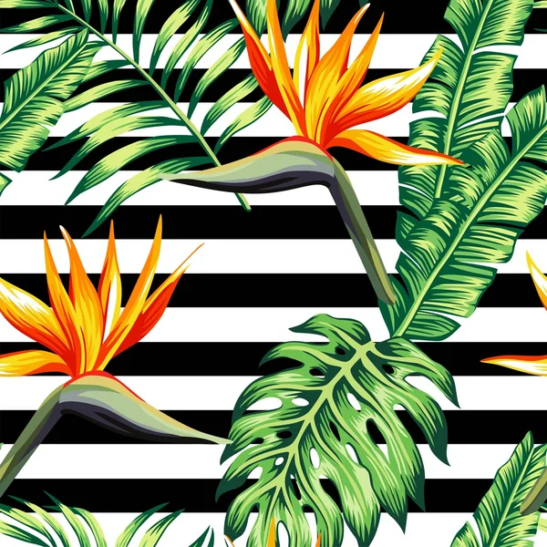 Fondo floral tropical sin costuras — Vector de stock