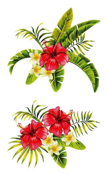 Manojos de hibisco plumeria — Vector de stock