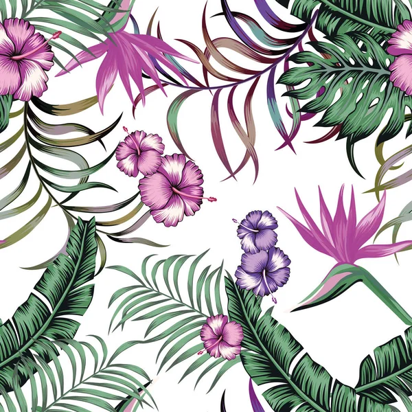 Tropische Bloemen Palmbladeren Hibiscus Paradijsvogel Naadloze Vector Patroon Bloemen Jungle — Stockvector