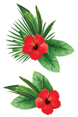 arrangement of tropical flower clipart