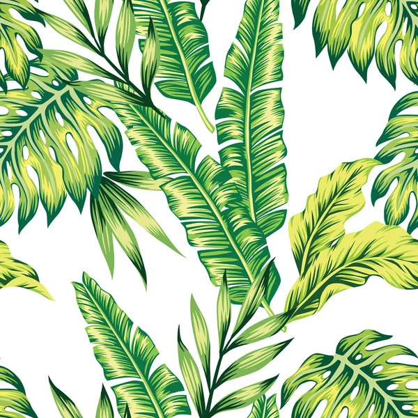 Plantas tropicales fondo sin costura — Vector de stock