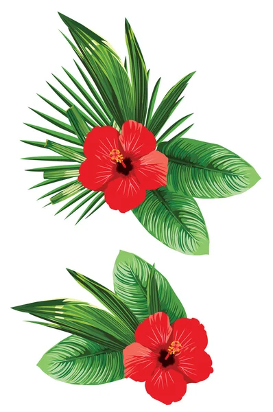 Disposición de la flor tropical — Vector de stock