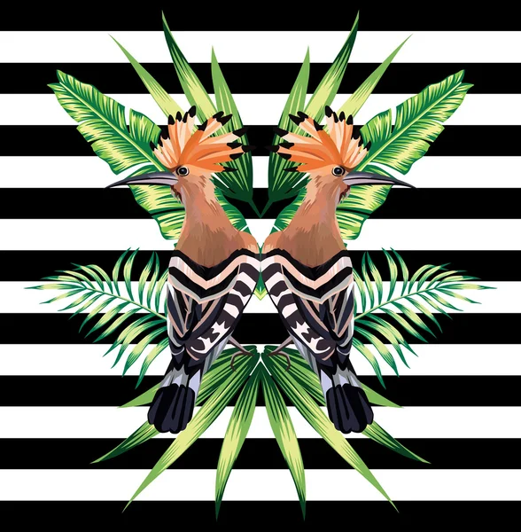 Oiseau tropical miroir fond — Image vectorielle