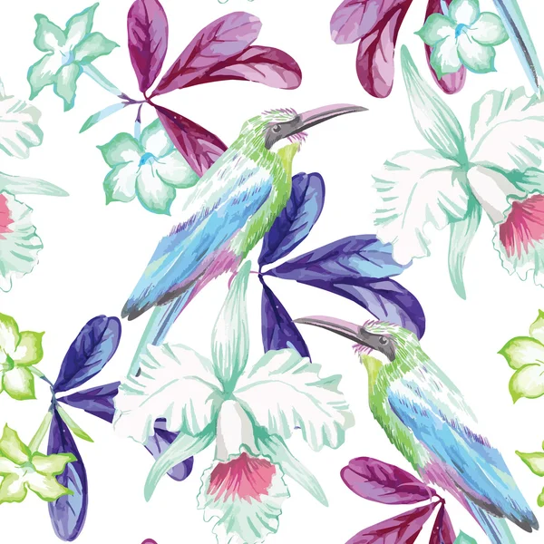 Oiseaux, orchidées et laurier rose aquarelle fond sans couture — Image vectorielle