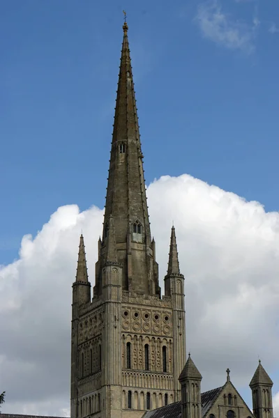 Norwich katedralspira — Stockfoto