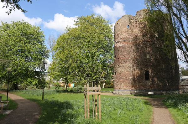 Norwich İnek Kulesi Topçu Kalesi — Stok fotoğraf
