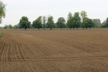 Topraklanmış ve harap edilmiş çiftlik arazisi